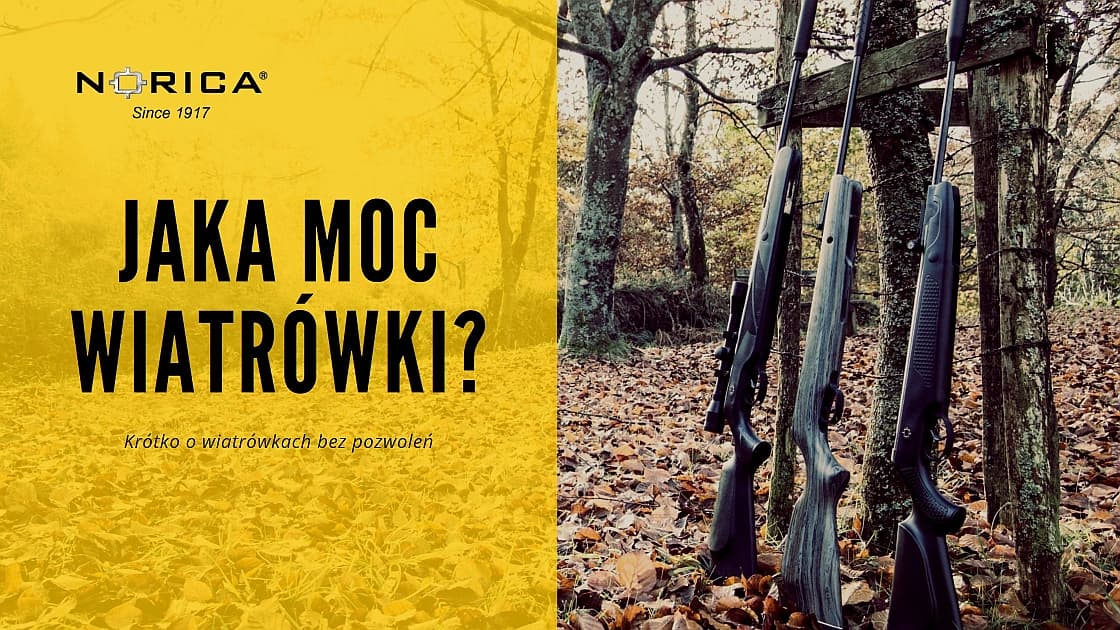 Jak mocne mogą być wiatrówki w Polsce bez pozwoleń